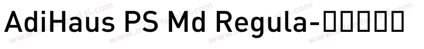 AdiHaus PS Md Regula字体转换